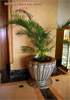 flower pot